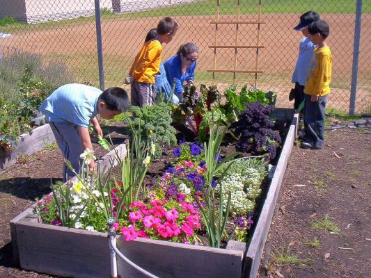 4 children and 1 adult around garden bed looking at flowers and plants