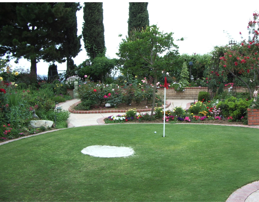 Bermuda Tif Green used as a back yard putting green. - Vince McGrath